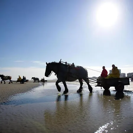 Lejlighed Solar Circuit 0704 With A Location Nieuwpoort